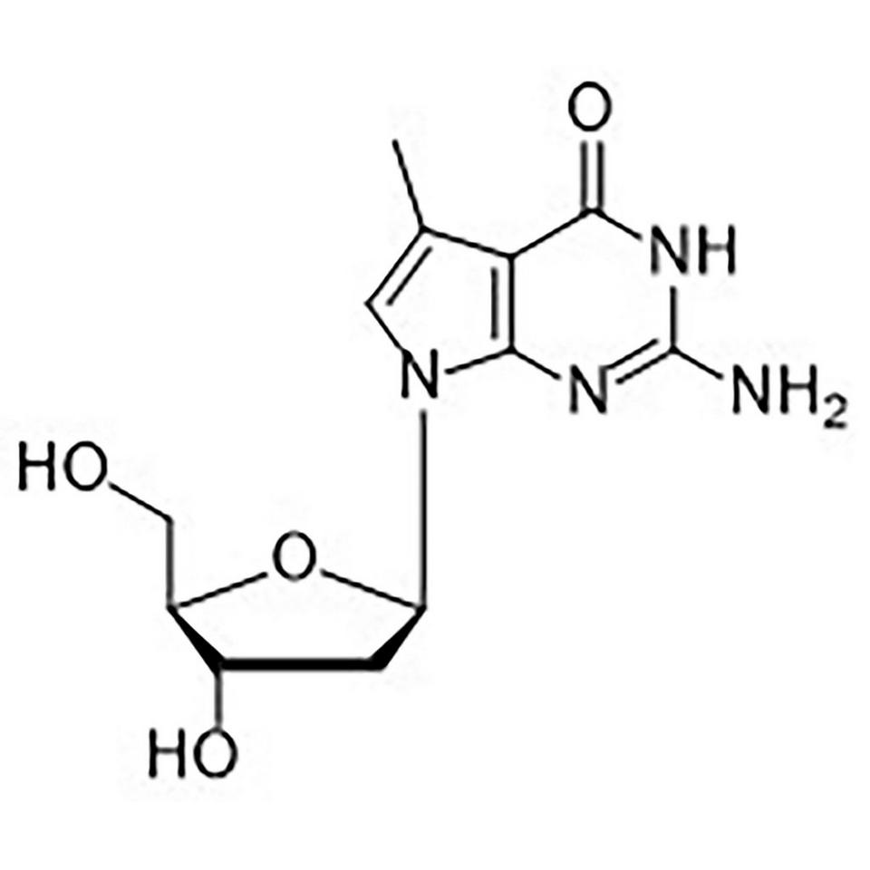 7-Methyl-7-deaza-2'-deoxyguanosine